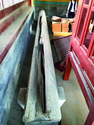 长7米、重400余斤的南木檩将展出。