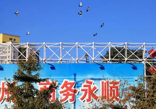 滕飞永顺