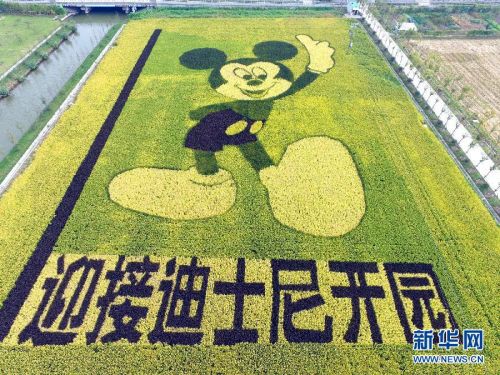 #（社会）（1）“米老鼠”稻田画迎接迪士尼落户上海