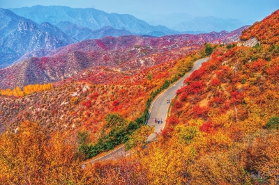门头沟清水镇百花山，漫山绚烂。