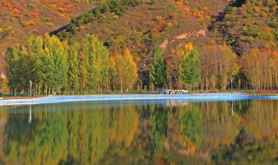 密云车道峪村人间花海，层林尽染。