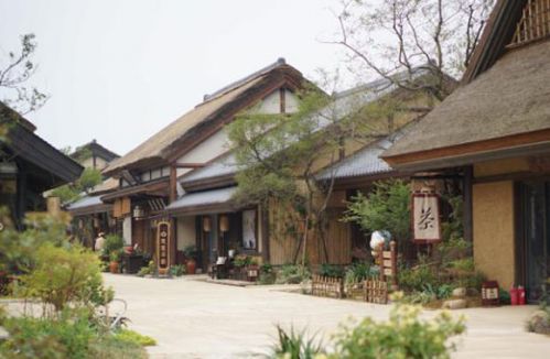 灵山拈花湾招募全球静静体验师-千龙网·中