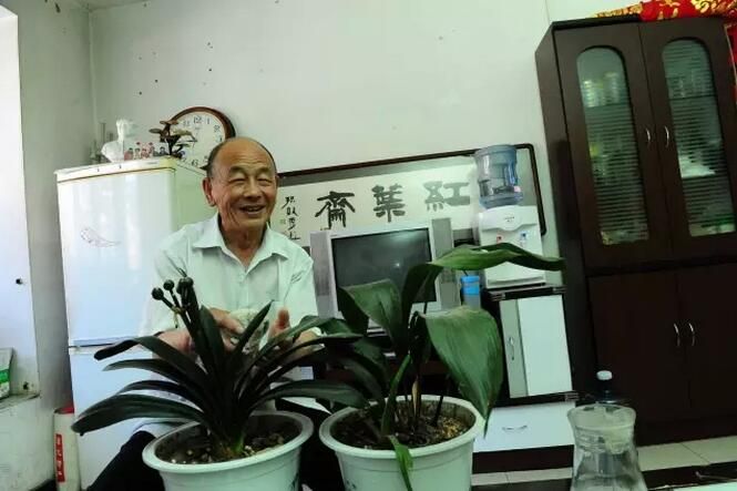 QQ截图20151105130919