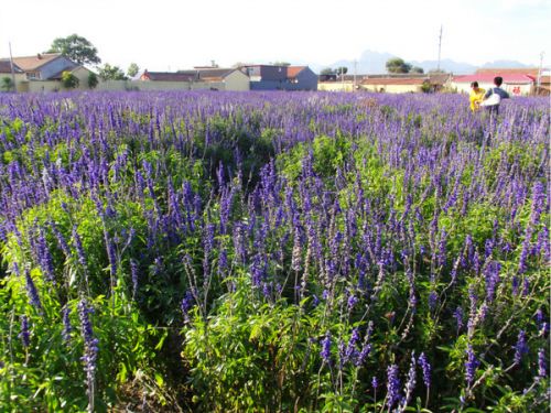 2015光棍北京适合一个人去的地方-千龙网·中