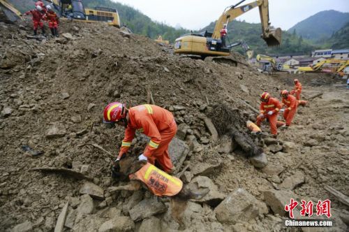 浙江丽水山体滑坡救援犬负伤仍坚持搜救