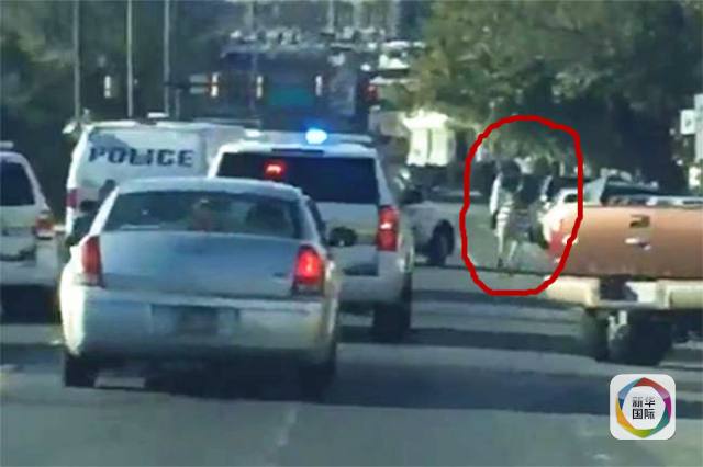 马戏团两斑马出逃 街头狂奔被“拘留”