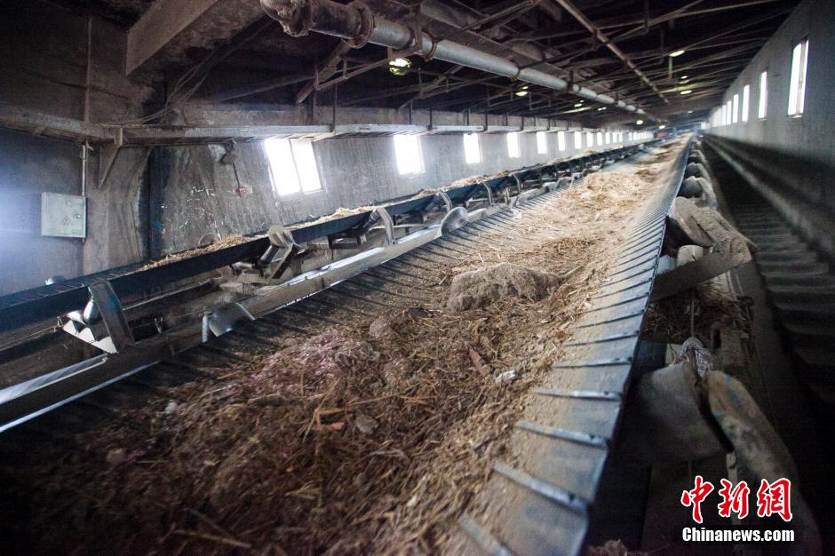 江苏数十吨残损人民币变废为宝 焚烧转化为电能