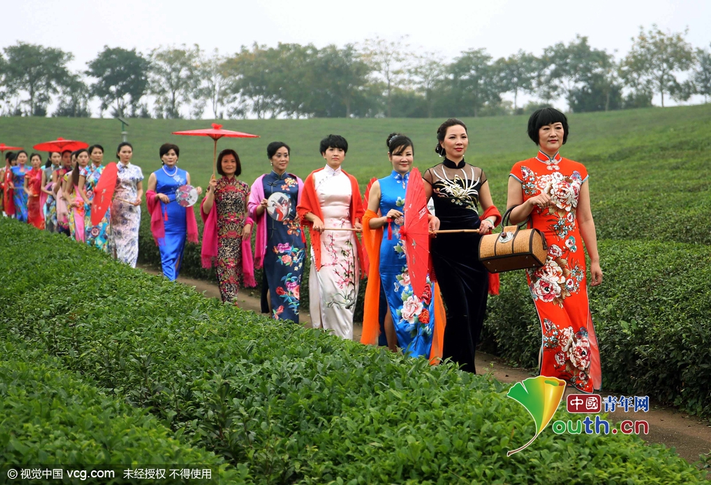 浙江金华：女干部着旗袍茶园走秀为古村旅游代言
