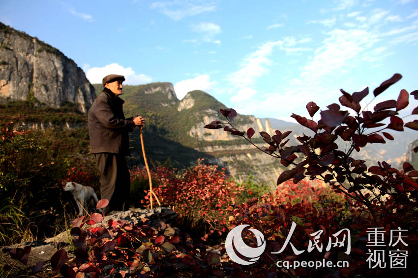 巫山当地村民观赏红叶。卢先庆 摄