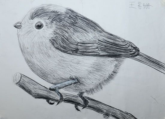 学生书法作品    王紫珊1