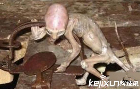 八卦