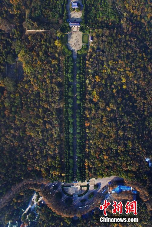俯瞰南京紫金山 最后的秋景迷人依旧