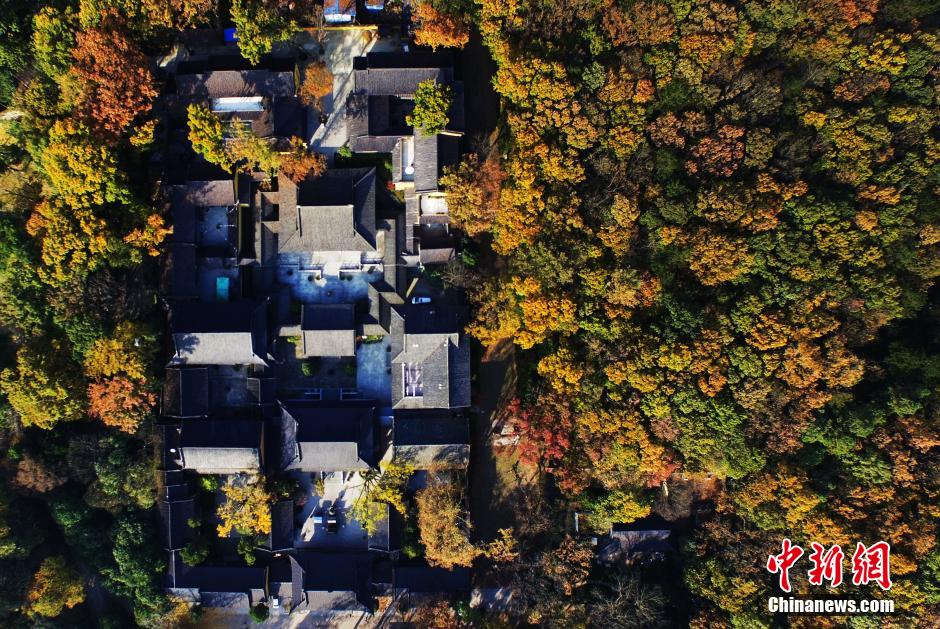 俯瞰南京紫金山 最后的秋景迷人依旧