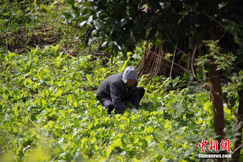 广西贫困村六成人外出务工 留老人看家