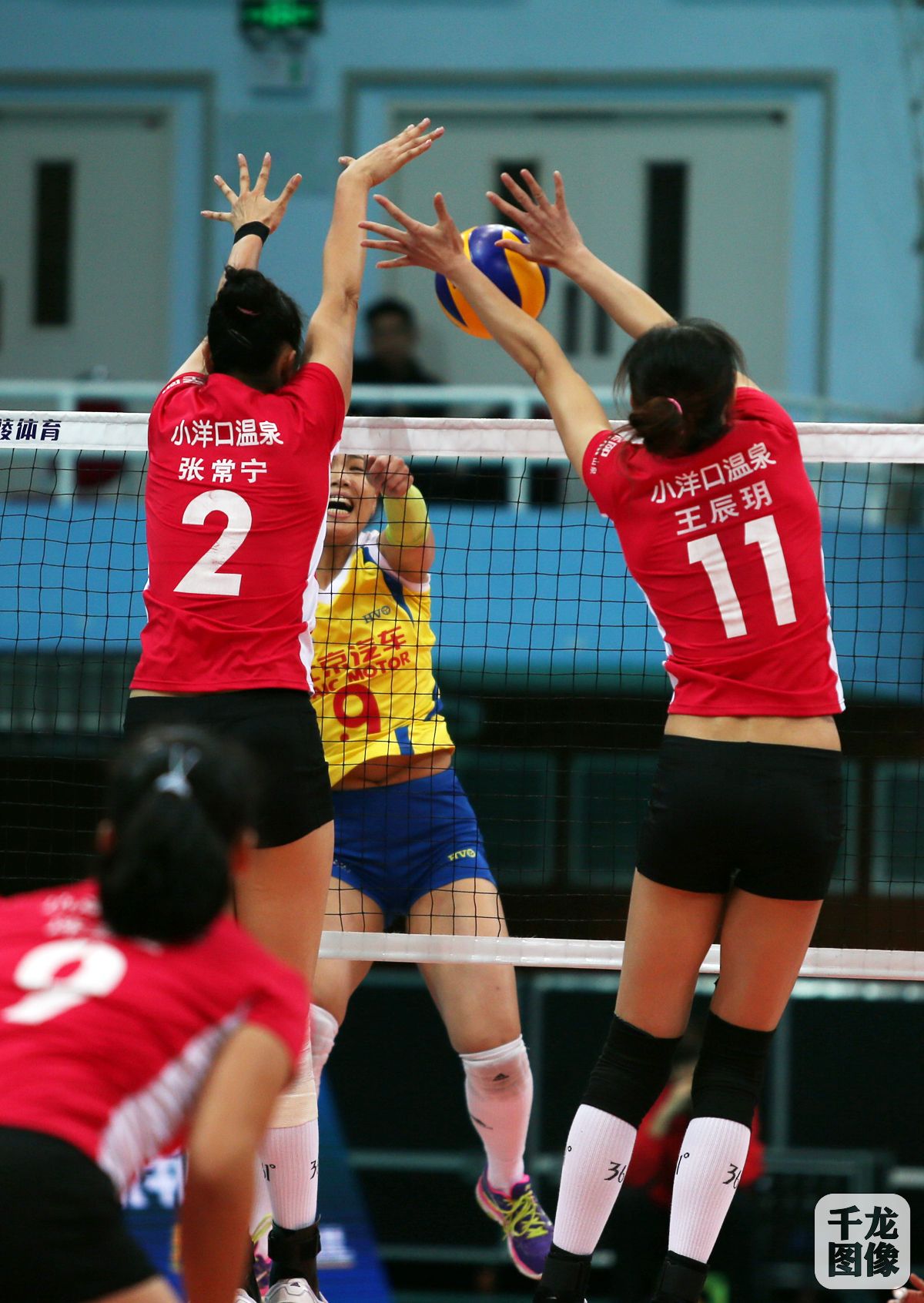 qlm20151206-nvpai-1