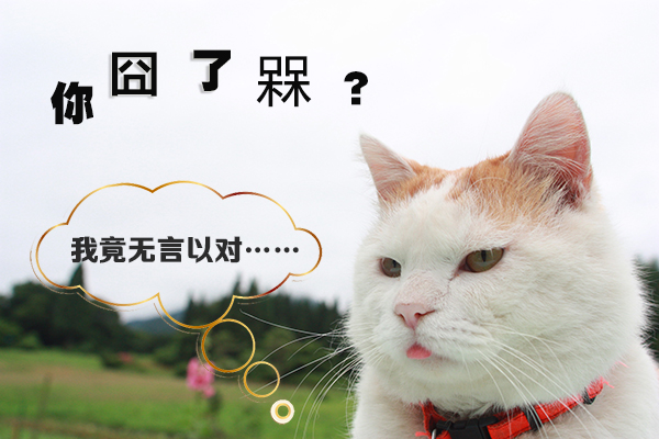 囧了没