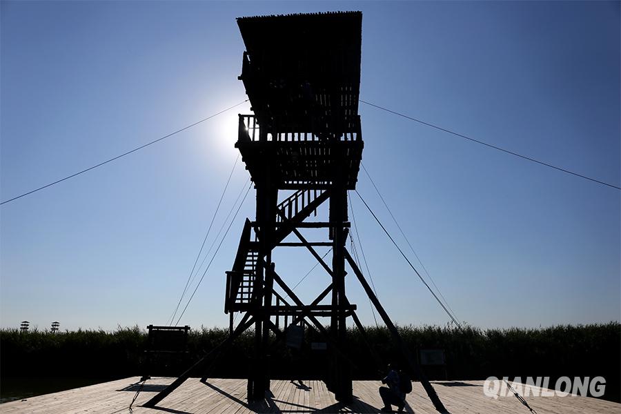 湿地迷宫区设有2个主要的瞭望塔