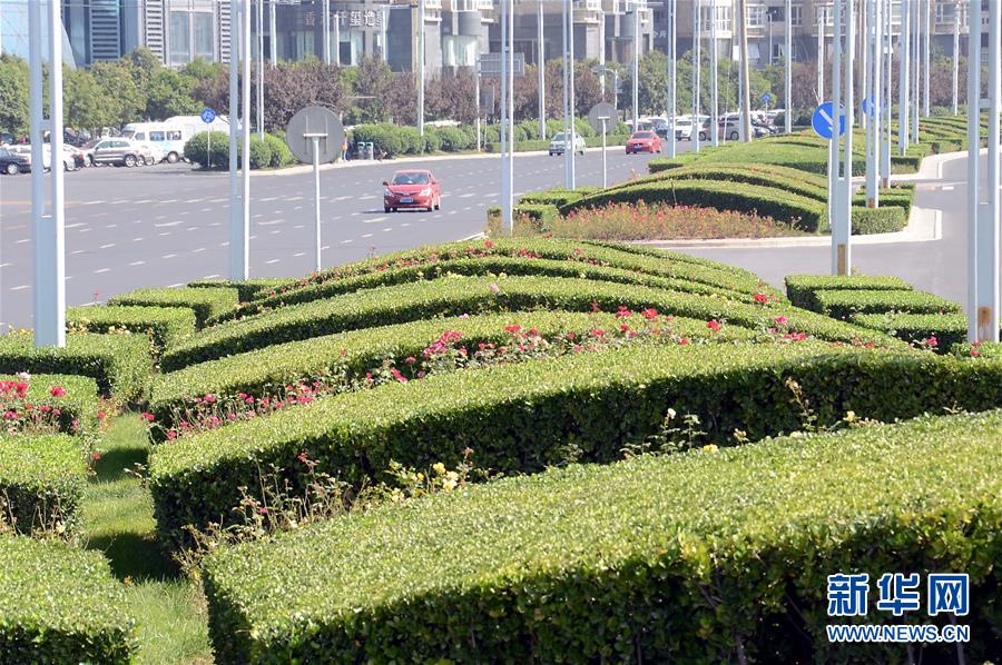 （XHDW）（5）有生命力的国际新城——走访上合组织峰会召开地郑东新区