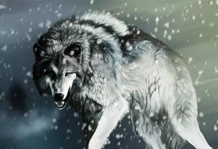 最恐怖的15大人类杀手:第二让人意想不到-千龙