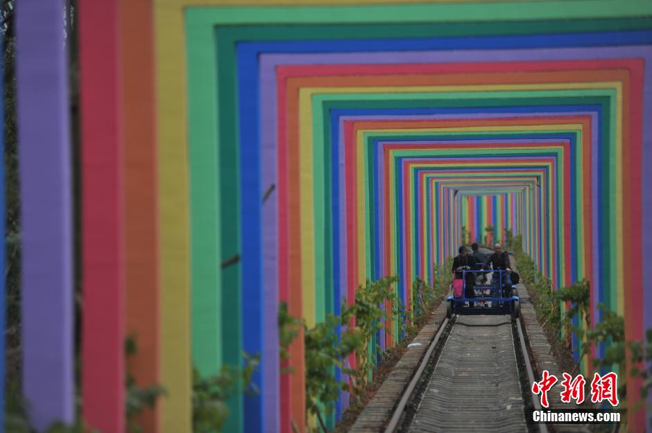 广西废弃铁路披&ldquo;彩妆&rdquo; 变身爱情隧道吸引游人