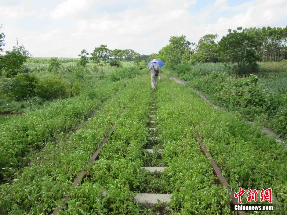 广西废弃铁路披&ldquo;彩妆&rdquo; 变身爱情隧道吸引游人