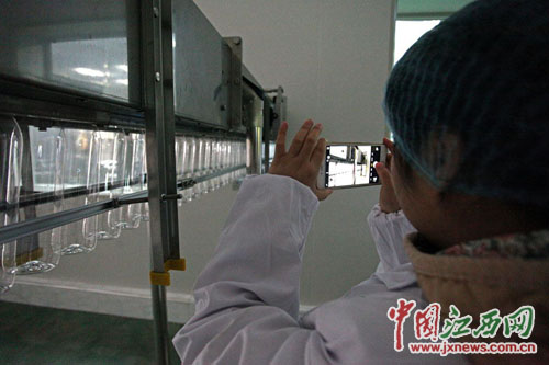 网媒记者参观江西英才公司无尘车间