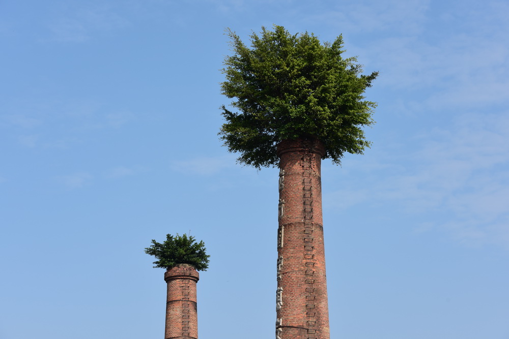 福建泉州：烟囱戴了“绿帽子”【4】