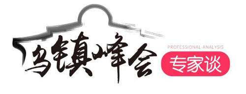 【乌镇峰会专家谈】世界互联网大会力促产业融合发展