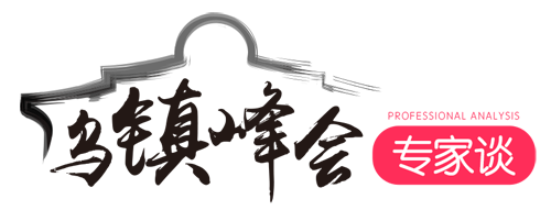 【乌镇峰会专家谈】携手共建互联共赢的美好未来