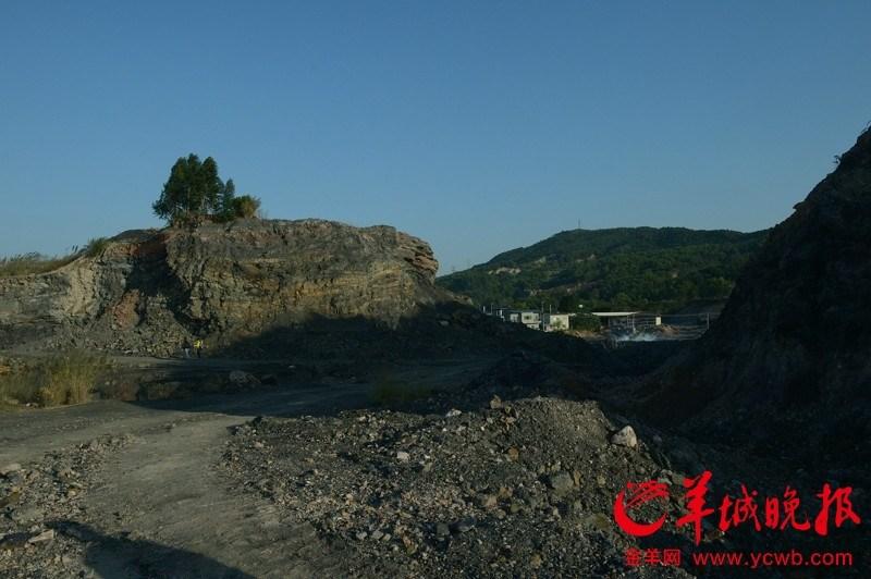 广州发现亿年古生物化石 不少已被烧成砖