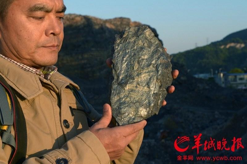广州发现亿年古生物化石 不少已被烧成砖
