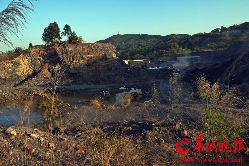 广州发现亿年古生物化石 不少已被烧成砖
