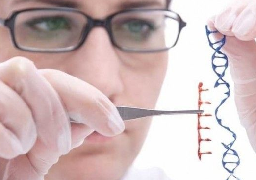 英国发现智商基因 找到这个“开关”可变聪明(图)