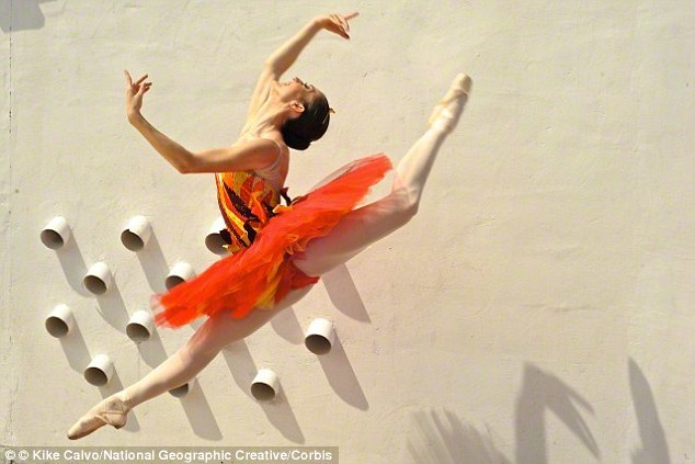 昆虫界的舞蹈家:灶马蟋蟀跳跃动作像芭蕾-千龙网·中国首都网