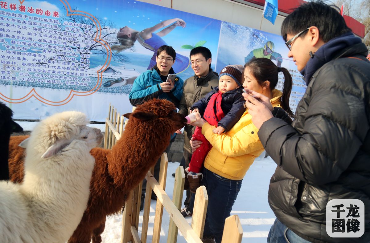 12月24日，以“玉渊冰雪季 健康迎冬奥”为主题的玉渊潭公园第七届冰雪季开幕。图为。千龙网记者 戚连民摄