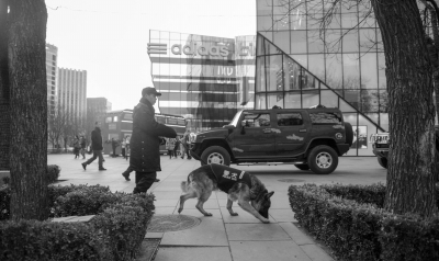 安保人员携警犬在巡逻。 京华时报记者 潘之望 摄