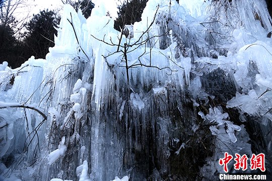 美极了！河南洛阳山谷小河成冰挂奇观
