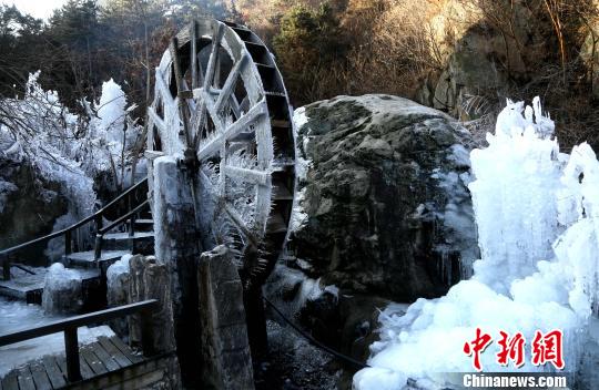 美极了！河南洛阳山谷小河成冰挂奇观