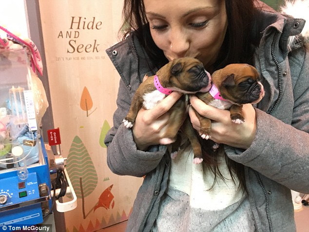 英国夫妇67万元赴韩克隆亡犬
