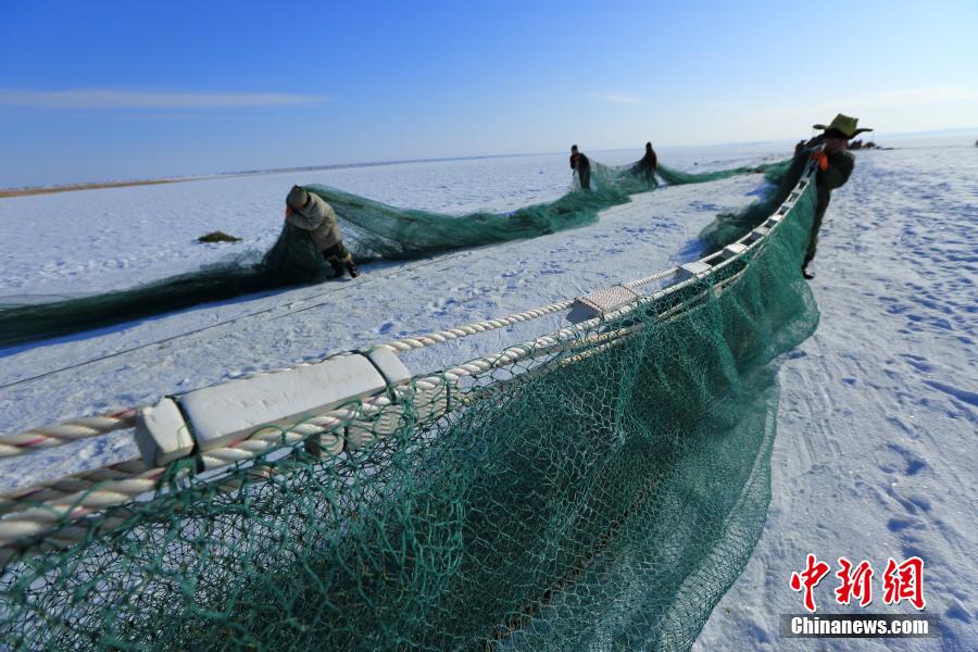 新疆乌伦古湖冬捕拉开序幕