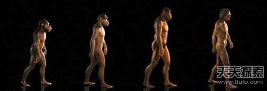 1000年后的人类 半机器人？超人？（图）