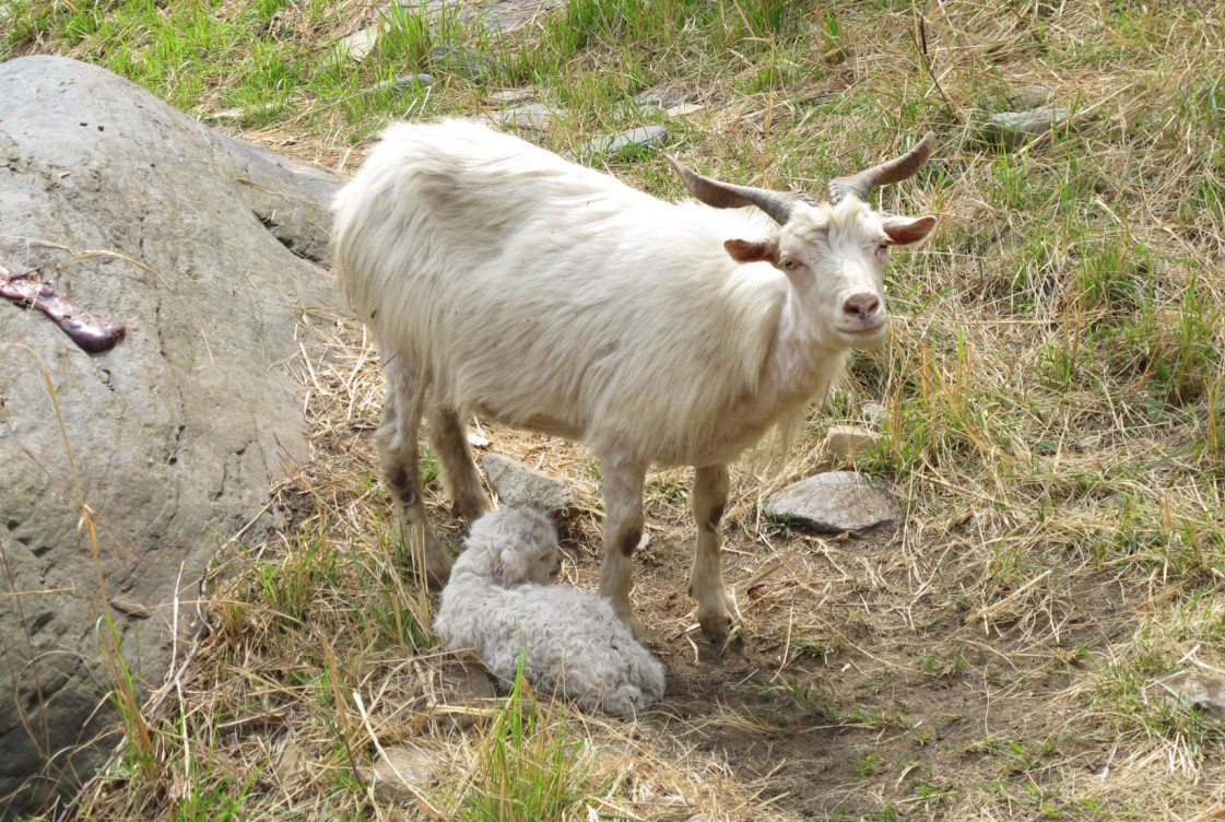 《冬天去哪儿玩》系列:天冷不远行 盘点北京周