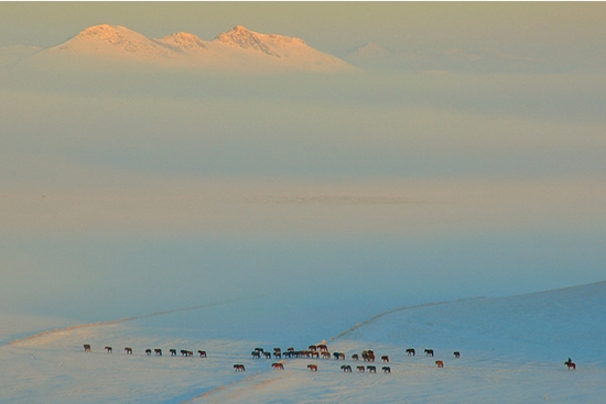 《冬天去哪儿玩》系列:天冷不远行 盘点北京周