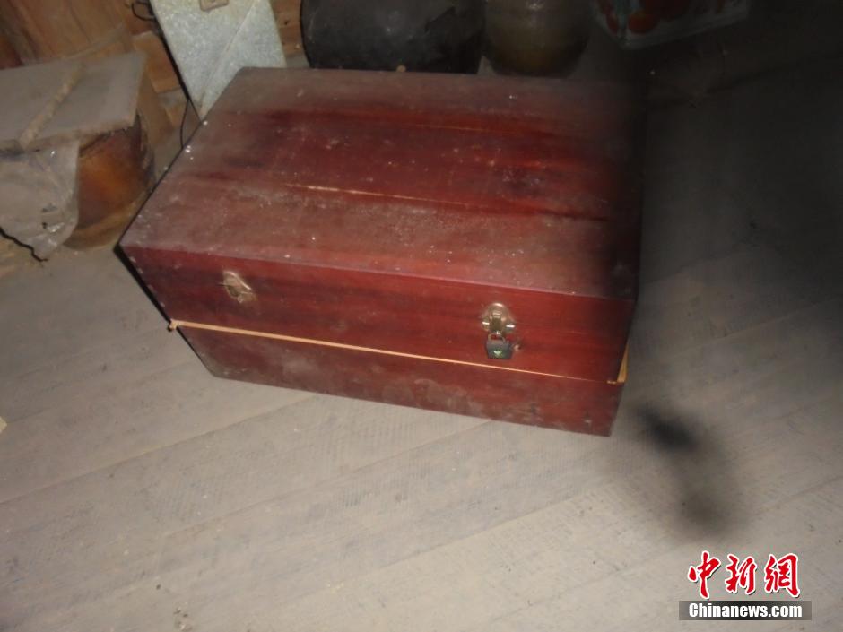 阿婆4万现金被蚂蚁吃光 仅剩金属线