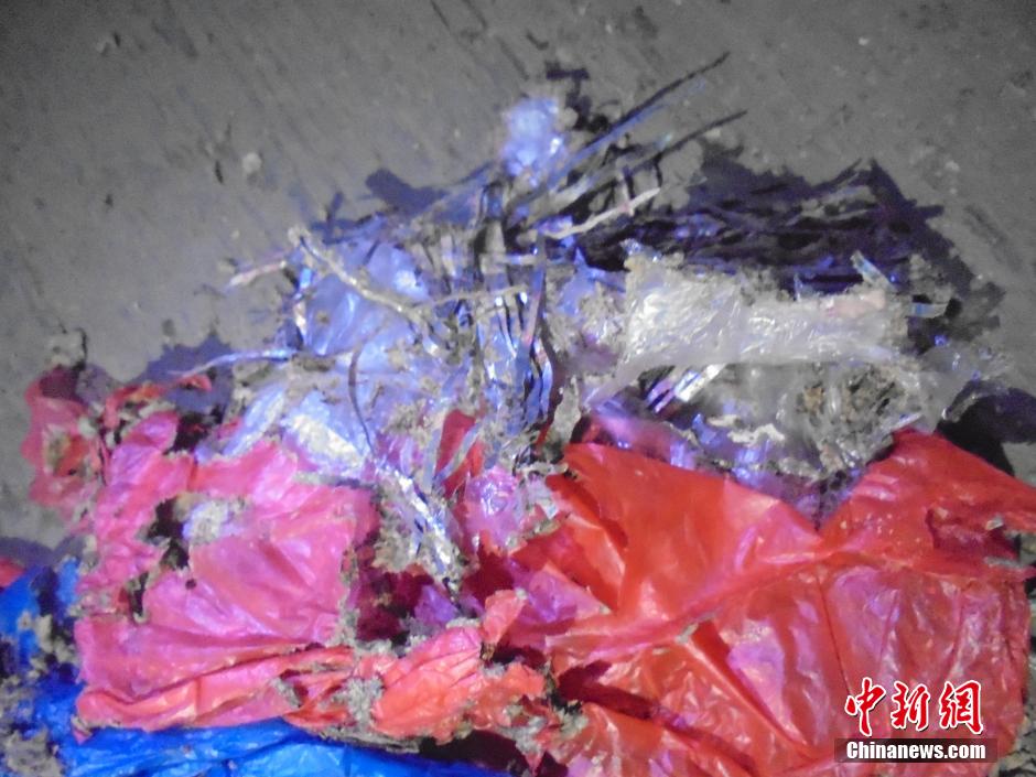 阿婆4万现金被蚂蚁吃光 仅剩金属线