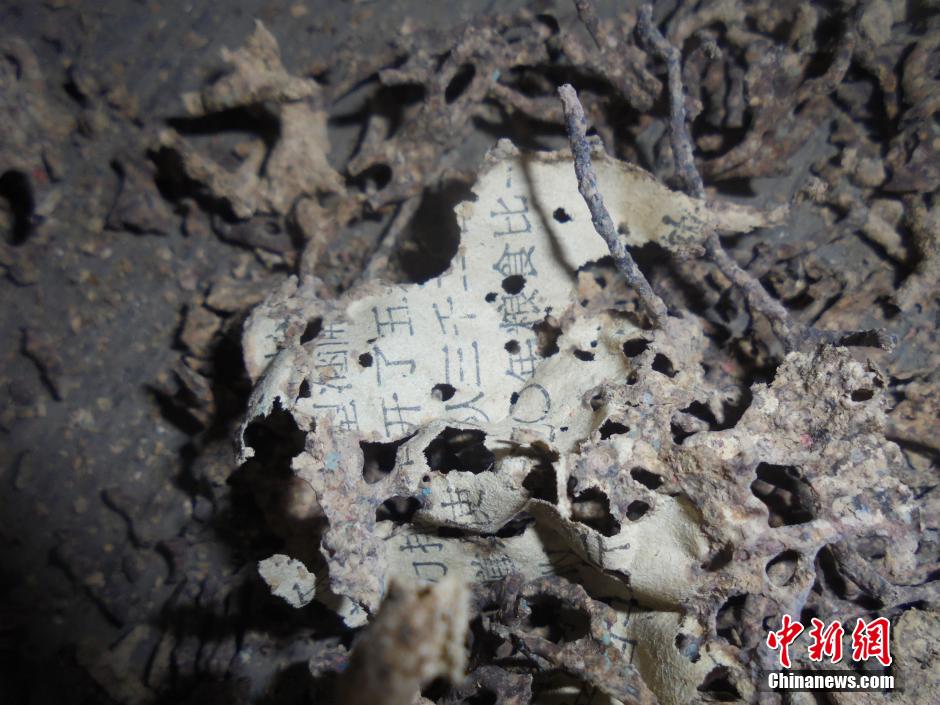 阿婆4万现金被蚂蚁吃光 仅剩金属线