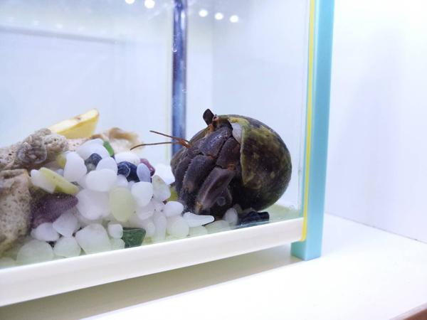 美图手机V4评测：自拍逆天 典型的偏科生