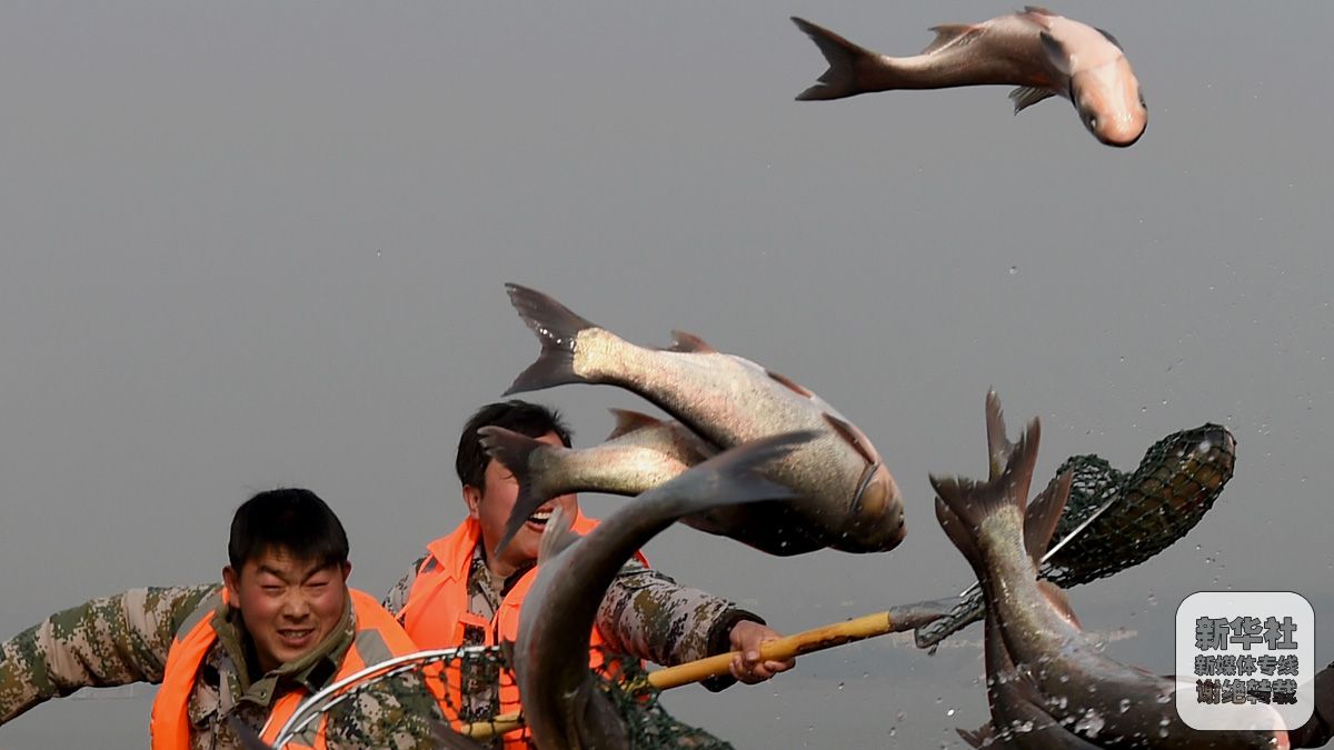 洛阳陆浑水库举办开渔节-千龙网·中国首都网