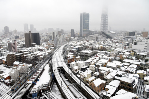 日本遭暴雪袭击200余人受伤交通混乱路人寸步难行
