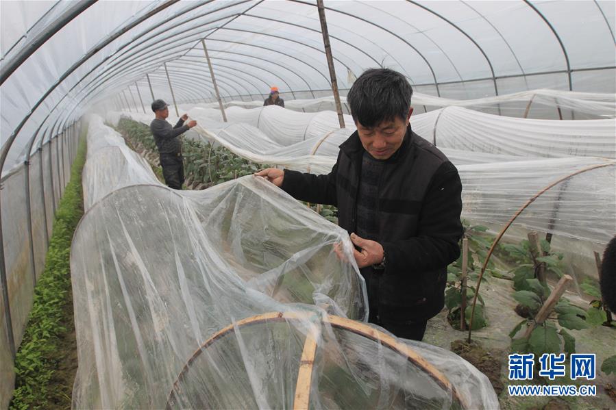 #（生态）（4）我国多地将迎来寒潮